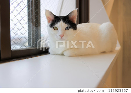 奇怪的眼睛 112925567