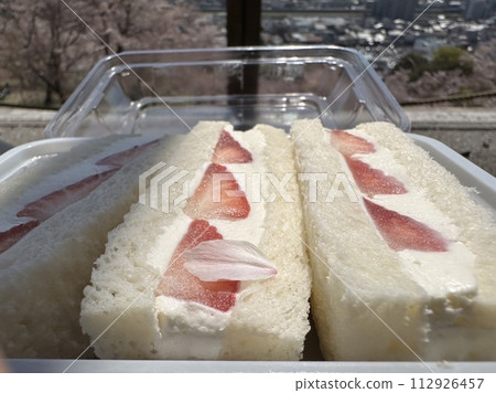 Eating fruit sandwiches while looking at the cherry blossoms 112926457