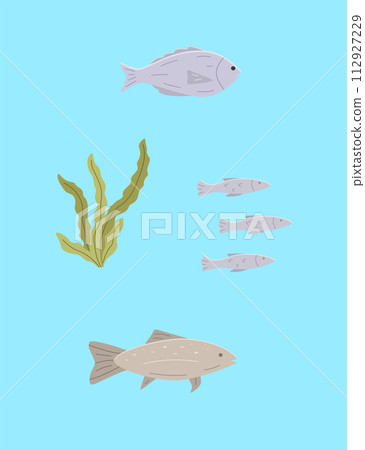 Set of sea or river fish and algae. Vector illustration dorado carp, a school of fish, blue background. 112927229