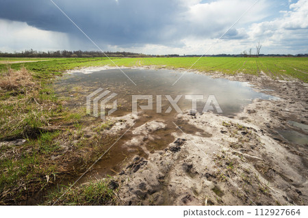 A puddle in the field and a cloudy sky A puddle in the field and a cloudy sky 112927664