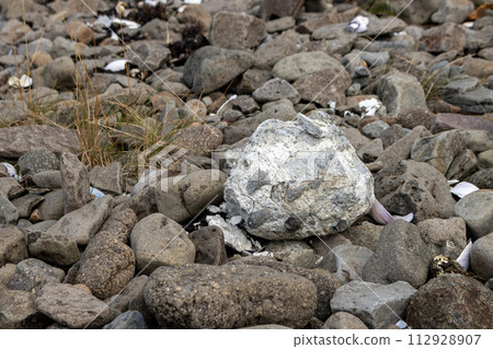 White stone among dark volcanic, Westfjords, Iceland White stone among dark volcanic, Westfjords, Iceland 112928907