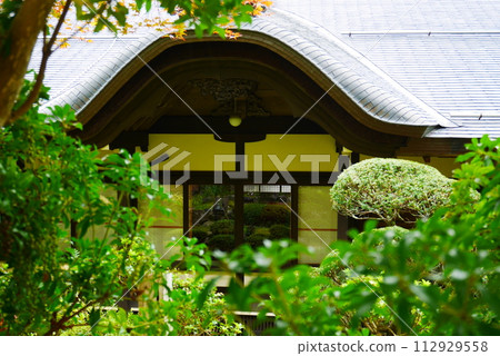 A temple visible behind the green leaves 112929558