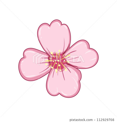branch sakura cherry blossom cartoon vector illustration 112929708