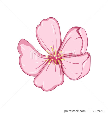 nature sakura cherry blossom cartoon vector illustration 112929710
