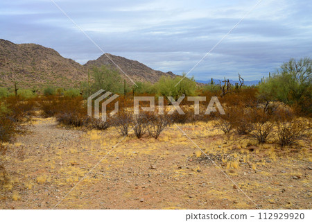San Tan Mountains Sonora Desert Arizona 112929920