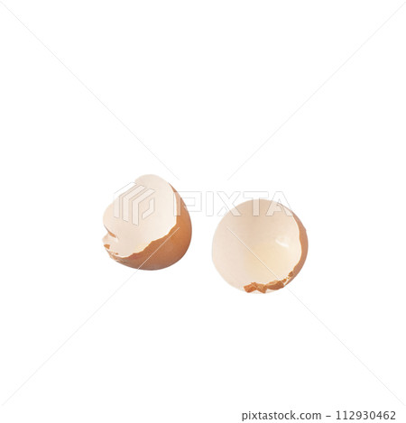 Egg shells 112930462