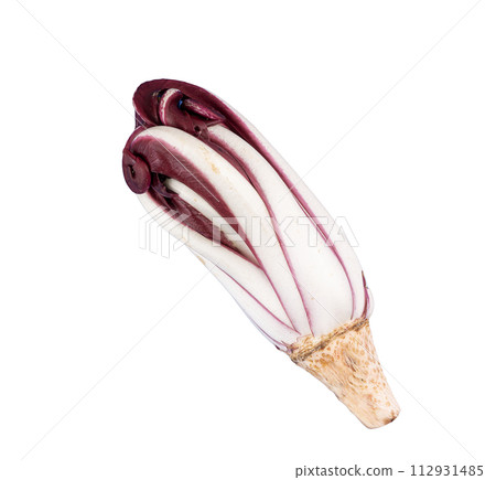 a late red radicchio head 112931485