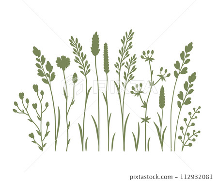Wildflowers and flowers, plants and herbs ornament Wildflowers and flowers, plants and herbs ornament 112932081