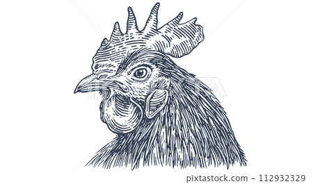Rooster, chicken, hen head. Vintage retro print Rooster, chicken, hen head. Vintage retro print 112932329