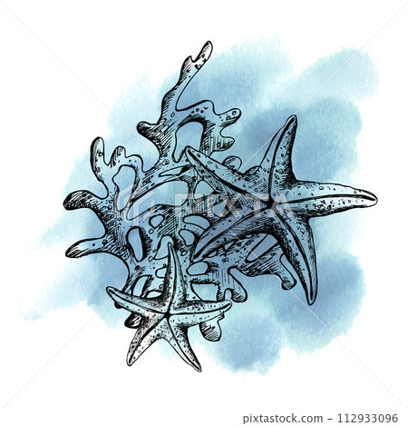 Underwater world clipart with sea animals starfish, shells, coral and algae. Graphic illustration hand drawn in black ink. Composition EPS vector. 112933096