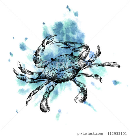 Underwater world clipart with sea animals, crab. Graphic illustration hand drawn in black ink. Composition EPS vector. Underwater world clipart with sea animals, crab. Graphic illustration hand drawn in black ink. Composition EPS vector. 112933101
