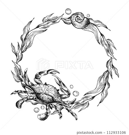 Underwater world clipart with sea animals crab, starfish and algae. Graphic illustration hand drawn in black ink. Circle wreath, frame EPS vector. Underwater world clipart with sea animals crab, starfish and algae. Graphic illustration hand drawn in black ink. Circle wreath, frame EPS vector. 112933106