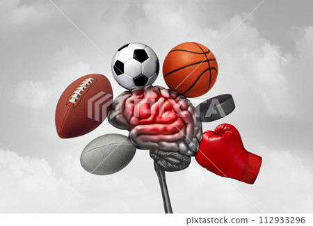 Sports Brain Injury 112933296