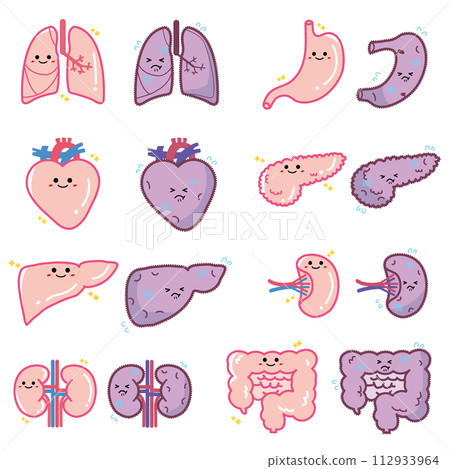 Human Organ Character 112933964