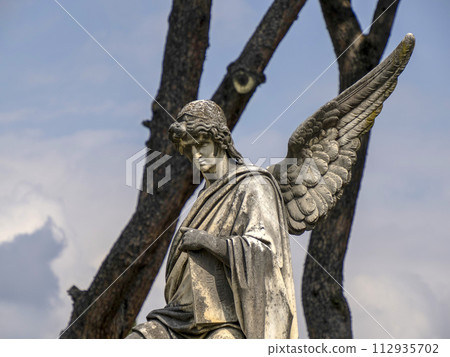 FLORENCE, ITALY - MARCH 23 2024 112935702