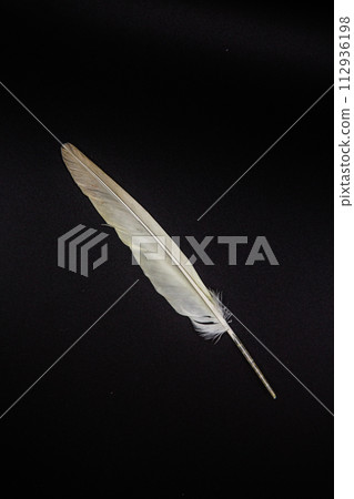 feather feather 112936198