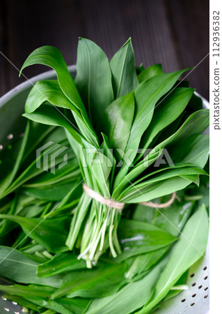 Fresh leaves of bear's wild garlic bunch in metal colander 112936382
