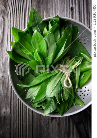 Top view on fresh leaves of bear's wild garlic bunch Top view on fresh leaves of bear's wild garlic bunch 112936400