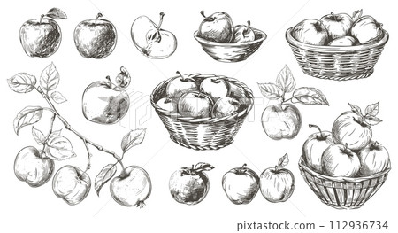 AI-generated content. Apples collection. Sketch apple tree branch, fruits in baskets and bowl. Fresh vitamin food. Seasonal harvest, agriculture and farm market, vector elements AI-generated content. Apples collection. Sketch apple tree branch, fruits in baskets and bowl. Fresh vitamin food. Seasonal harvest, agriculture and farm market, vector elements 112936734