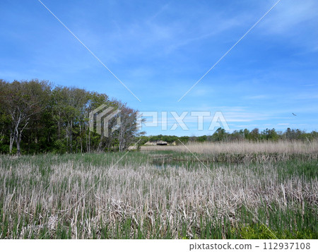 Waterway through forest with historic fort Battery Steele 112937108