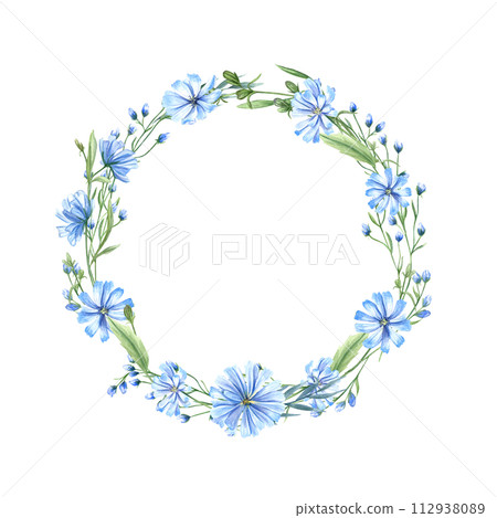 Blue chicory wreath. Wild meadow flowers. Flower heads, leaves and Cichorium with space for text. Delicate intybus branch. Floral watercolor illustration for medical design, package 112938089