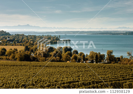 Bodensee Panorama: Alps on the Horizon, Vineyards, and Pastoral Beauty. Alpine Horizon: Bodensee, Vineyards, and Quaint Villages in the German Countryside. Vineyard Vistas: Bodensee, Alpine Peaks, and 112938129