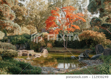 Beautiful Japanese Garden and red trees at autumn seson. A burst of fall color with pond reflections. 112938249