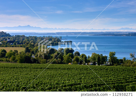 Bodensee Panorama: Alps on the Horizon, Vineyards, and Pastoral Beauty. Alpine Horizon: Bodensee, Vineyards, and Quaint Villages in the German Countryside. Vineyard Vistas: Bodensee, Alpine Peaks, and 112938271
