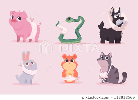 Sick pets. Medical treatment animals exact vector care for sick pets 112938569