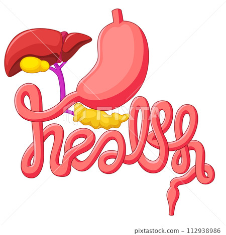 Health Campaign Symbol Human Digestive System, Vector Illustration Health Campaign Symbol Human Digestive System, Vector Illustration 112938986