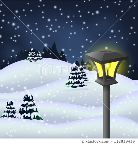 Winter Night in The Park with Garden Lamp, Vector Illustration 112939439