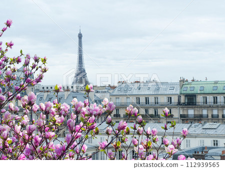 eiffel tour and Paris cityscape 112939565