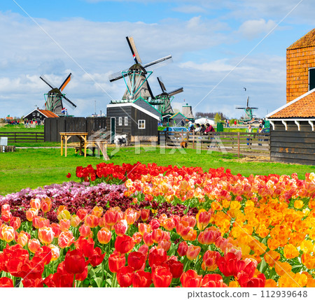 Dutch wind mills 112939648