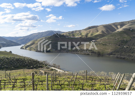 Douro wine valley 112939657
