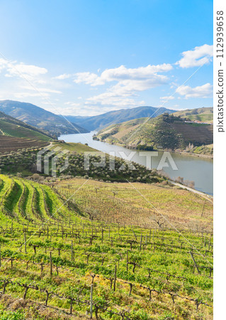 Douro wine valley 112939658