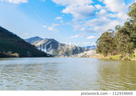 Douro wine valley 112939660