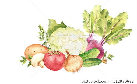 Vegetable composition. Set of cauliflower, cucumbers and beet. Tomato and champignon, potato and parsley plant, onion. Hand drawn botanical watercolor illustration isolated on white background Vegetable composition. Set of cauliflower, cucumbers and beet. Tomato and champignon, potato and parsley plant, onion. Hand drawn botanical watercolor illustration isolated on white background 112939683