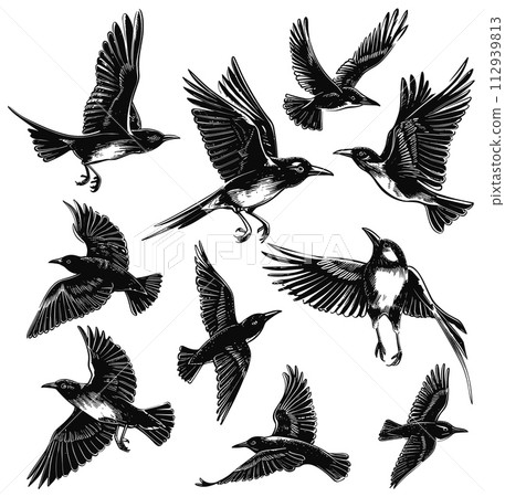 AI-generated content. Flying bird black ink sketch isolated on white background. Bird in fly poses engraving style vector illustration AI-generated content. Flying bird black ink sketch isolated on white background. Bird in fly poses engraving style vector illustration 112939813