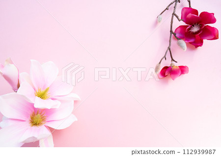 Blossoming pink magnolia tree Flowers Blossoming pink magnolia tree Flowers 112939987