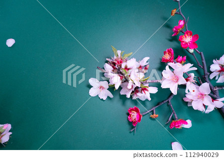 Blossoming pink magnolia tree Flowers Blossoming pink magnolia tree Flowers 112940029