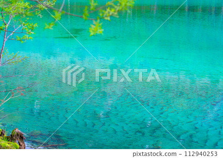 [Mountain stream material] Clear stream of Azusa River in Kamikochi in early summer [Nagano Prefecture] 112940253