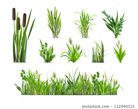 Realistic grass bushes. 3d isolated green vegetation, reed bush sprout forest plants grasses weed bunch farm garden yard summer glade spring field, herbs exact vector illustration 112940325