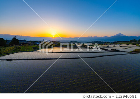[初夏材料]黎明時分的中野梯田[山梨縣] 112940581