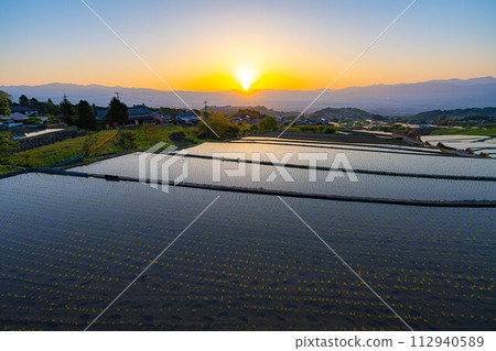 [初夏材料]黎明時分的中野梯田[山梨縣] 112940589