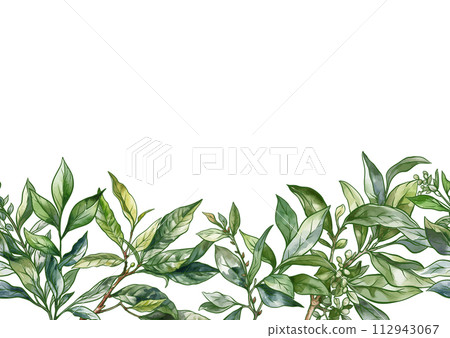 Branch with leaves of green tea. 112943067