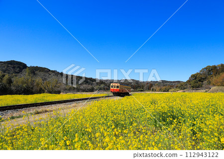 【千葉縣市原市】小湊鐵道和油菜花的藍天風景 112943122