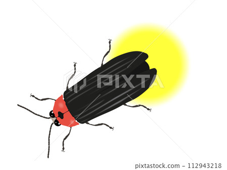 "Genji firefly" light emission downward diagonal 112943218