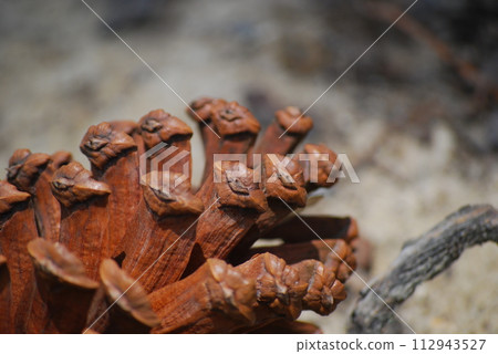 Up pine cones Up pine cones 112943527