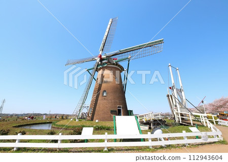 千葉櫻花櫻花鬱金香節 112943604