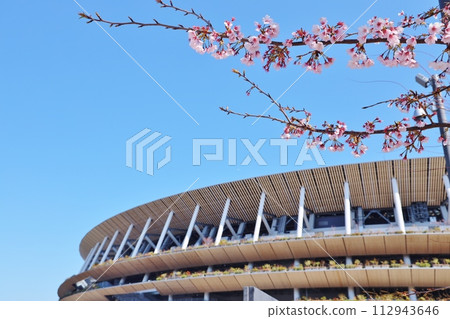 新國家體育場櫻花盛開 新國家體育場櫻花盛開 112943646